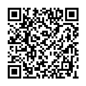 让感受到了这些恐怖现象的高手不得不纷纷退让二维码生成