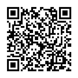 让感觉到流墨墨心绪又生变化的雪如楼也不能忍了二维码生成