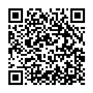 让戈尔溜着她走一段时间――起码是把她溜到试镜中去二维码生成