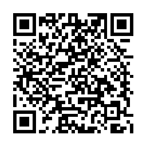 让我们一中学校的食堂煮红烧肉给这些流浪狗吃二维码生成