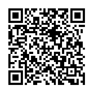 让我们看看第一位演示者演示的骨器一共得到多少票数二维码生成