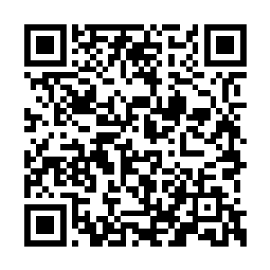 让我们这些漂泊的幸存者可以重返城市当中居住二维码生成