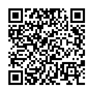 让我们连重新粉饰的理由和借口都没有――他很残忍二维码生成