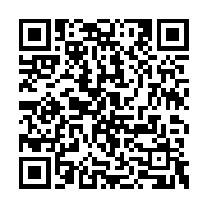让我来看看……当初奥术师们能够屠神的力量吧二维码生成