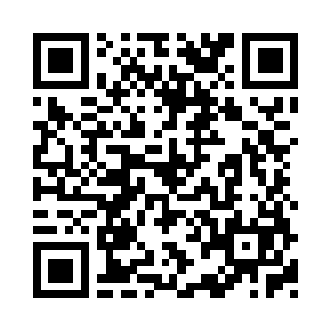 让我留在后山守着一堆不一定能带走的东西二维码生成