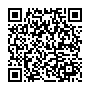 让我看看你那根狼骨是不是真的腐蚀魔狼的肋骨二维码生成