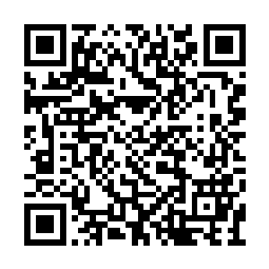 让我第一时间察觉到了一股及其微弱的修武气息二维码生成