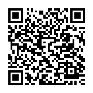 让我萨波大人来教教你们……我和你们这些下等战士有什么不同二维码生成