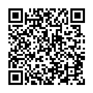 让所有人都把视线投向了两周之后的门票开售日二维码生成