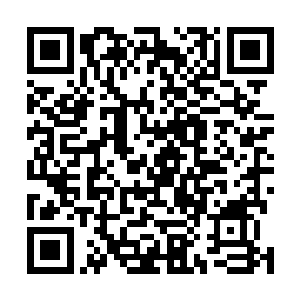 让所有居住在森林边缘的德鲁伊村庄继续向森林深处迁徙二维码生成