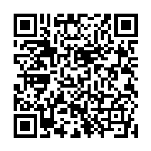 让所有巨兽的干扰力场和支撑身体的反重力场完全崩溃二维码生成