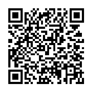 让所有看到这个短片的观众都不由打了一个冷颤二维码生成
