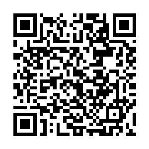 让把守在这片山脉各处的其余七名天空圣师也听得清清楚楚二维码生成