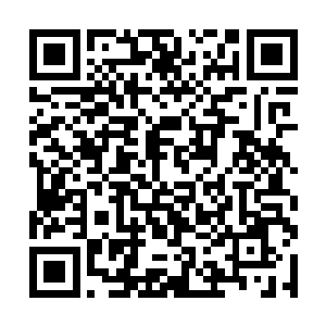 让护卫在最短的时间之内拥有一定战斗力的知识之外二维码生成