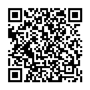 让整个会议室里的所有人心腔子都陡然缩紧起来二维码生成