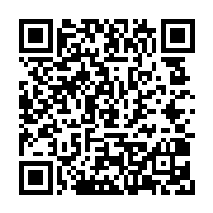 让整个诸天百界头皮发麻的能量波动又一次传出二维码生成