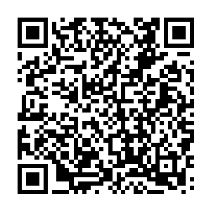 让整个赛尔内斯战区南部人族防线的部队一下子都有了松了一口气的感觉二维码生成