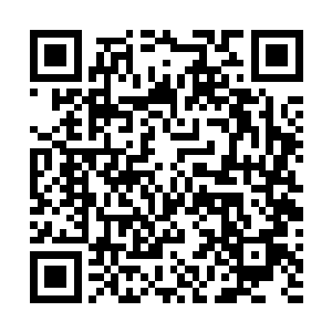 让晏安之帮她去查沈苍苍外祖父家附近的宅子这十多年来二维码生成