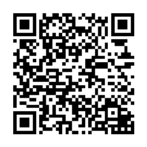 让普通青脉地仙得此后就能提前体会到一点天仙的感觉二维码生成