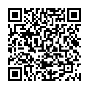 让曾毅由一个落魄秀才直接成为正七品的监察御史二维码生成