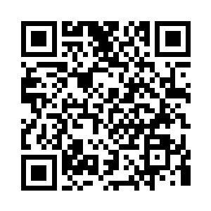 让本应该落入他们手中的四条上古皇道法则二维码生成