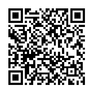 让杨晨欣喜的是虽然说在雾海中损失两张威力强大的符篆二维码生成