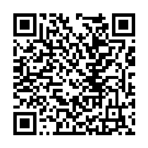 让棕木树人那庞大的身躯上出现了更多被绿意笼罩二维码生成