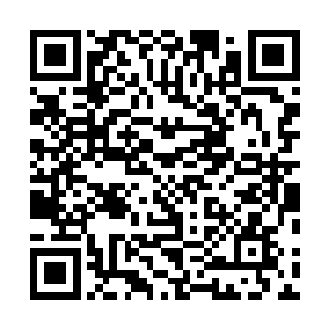让楚暮掌握了云海剑术与碎云剑术之间的交替衔接与融合二维码生成
