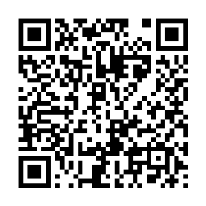 让楚暮的剑道本源之力似乎有脱离自己控制的迹象二维码生成