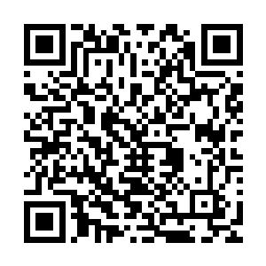 让楚暮联想到之前那个天族小圣尊所召唤出来的黑色天棺虚影二维码生成