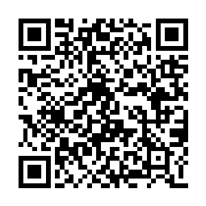 让正好拿着盘披萨走过身边的男招待吓了一大跳二维码生成