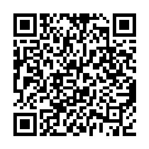 让此刻极度惊恐与情绪十分不对的萧黎先睡过去二维码生成