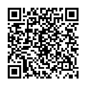 让武炅想用一场甘畅淋漓的胜利来证明他们新生团的强大二维码生成