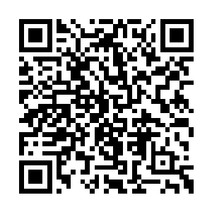 让每一个海神一族成员看到都觉得浑身热血沸腾二维码生成