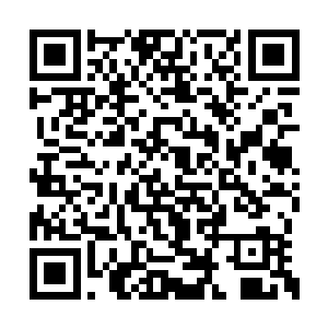 让民众了解更多帝国和圣盟的军力以及局势对比二维码生成