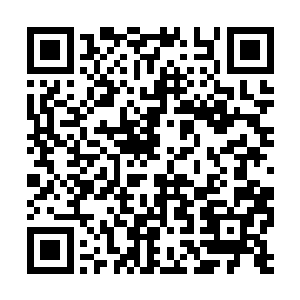 让沈冰只要说出张小凡从墓穴中得到的东西的下落二维码生成