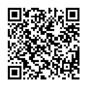 让现场观众感受到精彩华丽以及炫酷十足的视觉冲击力二维码生成