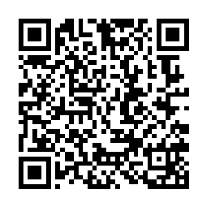 让珍妮一时哭笑不得了――她猜大卫可能是有所误会二维码生成