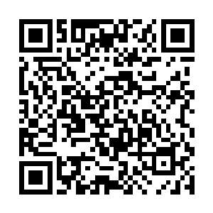 让琴瑟色突然失去了追问她昨夜她隐瞒了什么的念头二维码生成