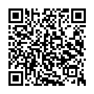 让白小鹿对这名地底少年的成长经历和性格特点二维码生成