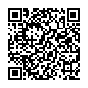 让百余米外的江帆和纳甲土尸像是背负万斤重物二维码生成