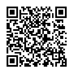 让着白老身旁的夜影以及白沧海都是表现出较为难受的神情二维码生成