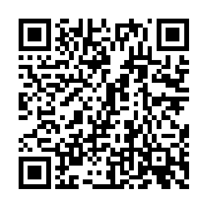 让秦洛又找回了他初来医科大时的那段风光日子二维码生成
