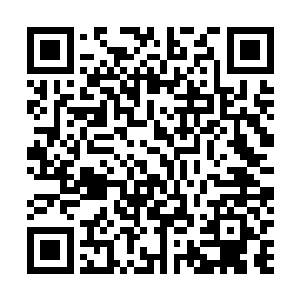 让秦风这样梦想着老婆孩子热炕头的单身汉万分难以理解二维码生成