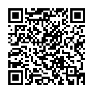 让粉丝们趋向于对她避而不提――比起一个失去所有尊严二维码生成