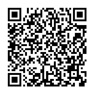 让维尔特联邦供奉团和西方联盟长老团拉近了和我们圣堂之间的差距二维码生成