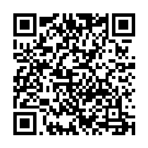 让老夫这林家未来的家主根骨天赋究竟有多少厉害二维码生成
