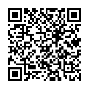 让股东们知道这是维亚康姆数名董事和总裁的联合决定二维码生成