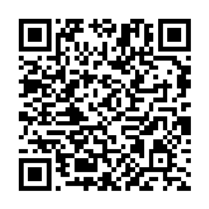 让自己的血一点也不浪费的全都朝着木萦的口中流去二维码生成