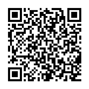 让自己的鲜血像不要钱的水一样洒下的样子深深把他们震住了二维码生成